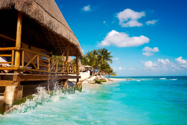 istock Playa del Carmen beach palapa in Mexico 914176686