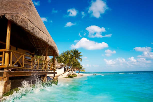 istock Playa del Carmen beach palapa in Mexico 914176726