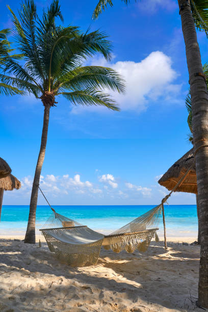istock Playa del Carmen beach in Riviera Maya 914176806