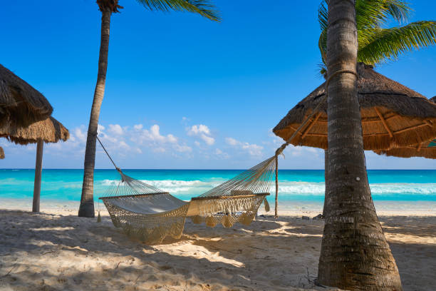 リビエラ ・ マヤのプラヤ ・ デル ・ カルメンのビーチ - yucatan travel tropical climate mexico ストックフォトと画像