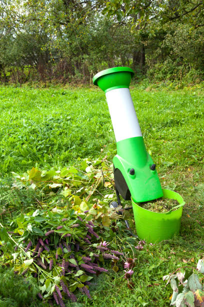 istock Electric garden shredder 914179872