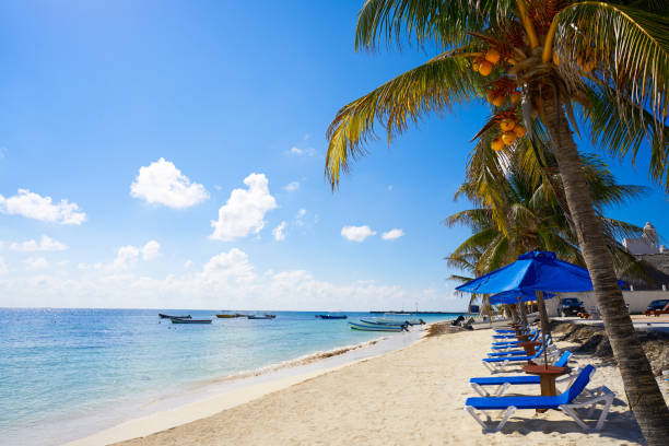 istock Puerto Morelos beach in Mayan Riviera 914186660