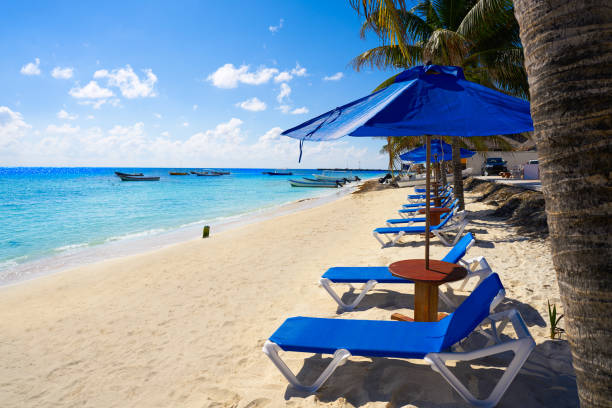 istock Puerto Morelos beach in Mayan Riviera 914186770