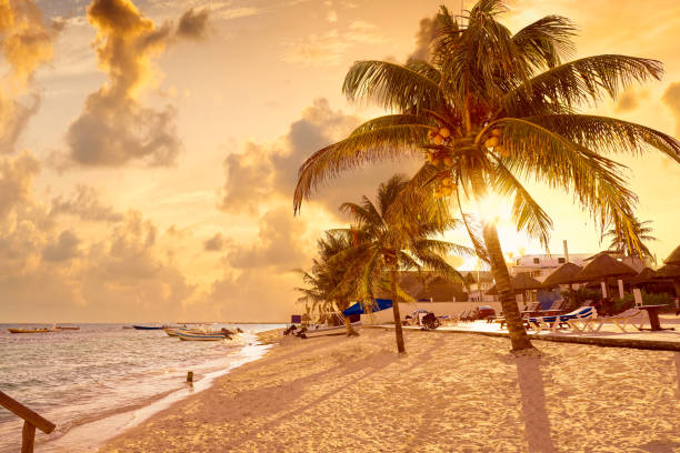 istock Puerto Morelos beach in Riviera Maya 914186998