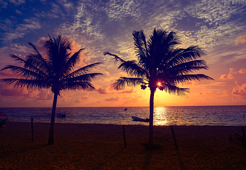 Caribbean sunrise palm trees in Riviera Maya Mayan Mexico