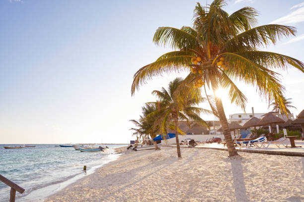 istock Puerto Morelos beach in Riviera Maya 914192290