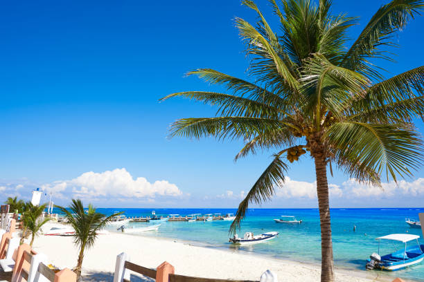 istock Puerto Morelos beach in Riviera Maya 914195732
