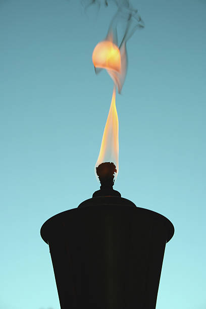 torcia in bambù silhouette - candle lemon grass insect repellant insect foto e immagini stock