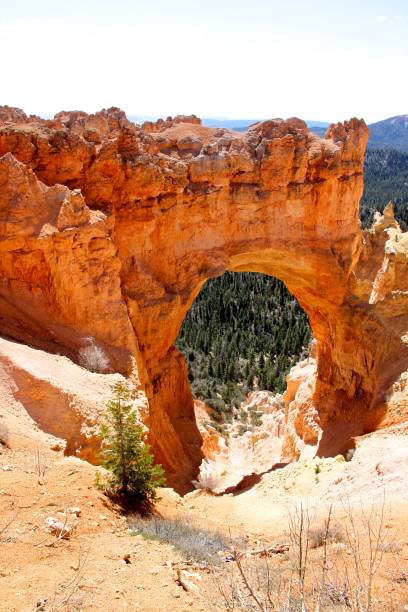 istock rock formations from Bryce Canyon National Park Utah 914210486