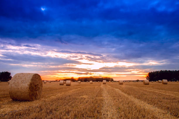 istock End of day over field with hay bale 914232190