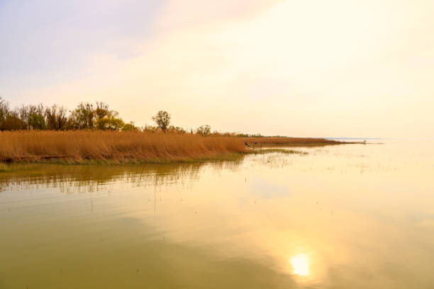 istock Lake Balaton in Hungary 914234322