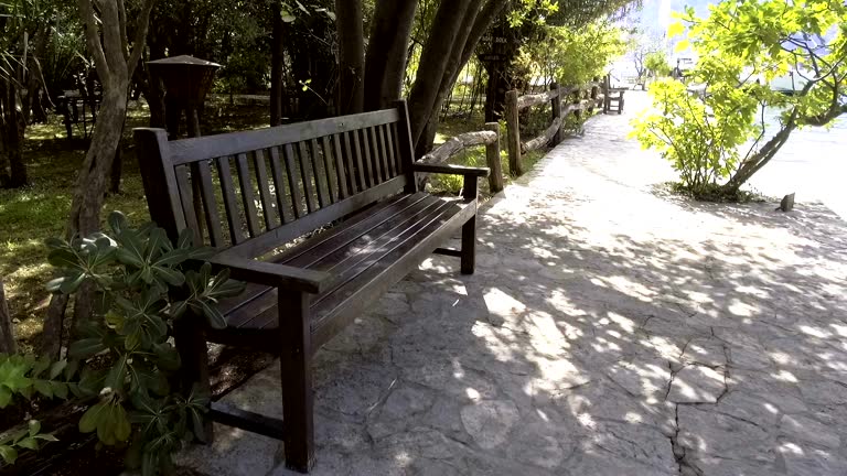 Wooden bench in park by the sea
