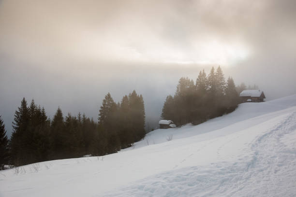istock Snow and the dark forest in the mountains 914235692