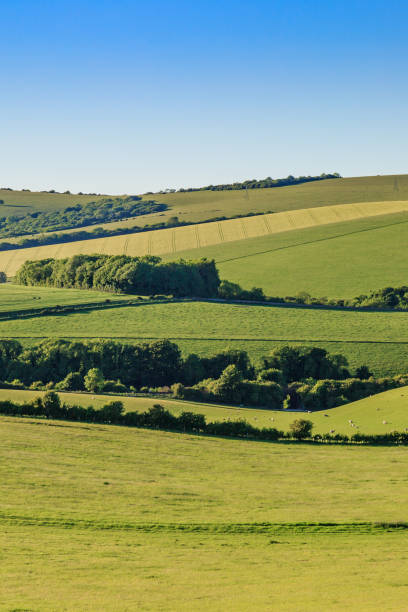 istock Idyllic Sussex Landscape 914244962