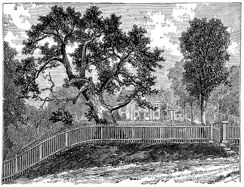 Scanned from A Popular History of the United States by W. C. Bryant and S. H. Gay. Volume II. Copyright, 1878. Page 392. The Charter Oak was a hiding place for Connecticut’s Colonial Charter to prevent confiscation by the English. It is an important symbol in Connecticut history. Digital restoration of expired copyright artwork.