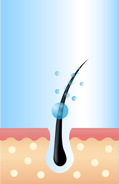 istock hair follicle and a serum essence drop with a dropper. Treatment design template 914246482