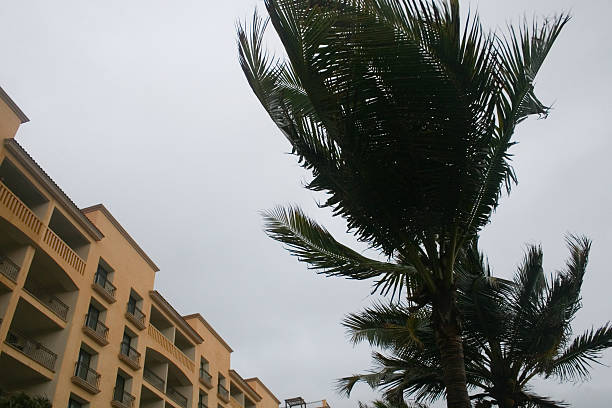 Apartment condos in Miami Beach