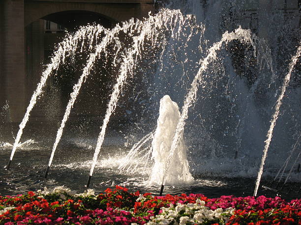 istock Flowers and Fountain 91425870