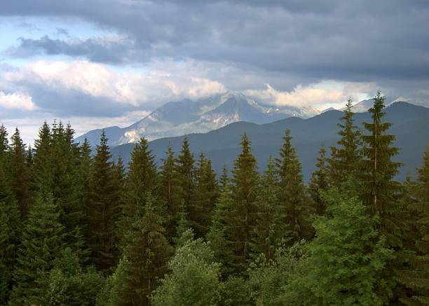 istock Tatry Mountains in Poland 91426105
