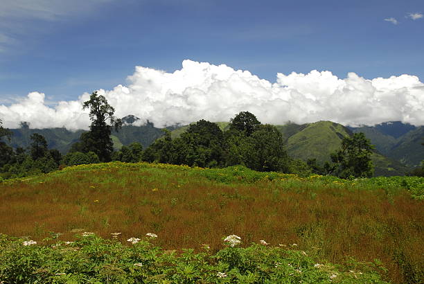 Multi-layered Landscape stock photo