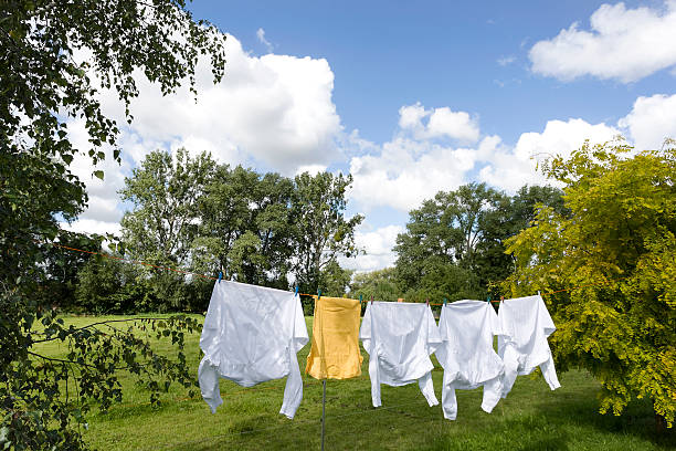 istock Clothesline with white and yellow shirts between trees (XXL) 91426357