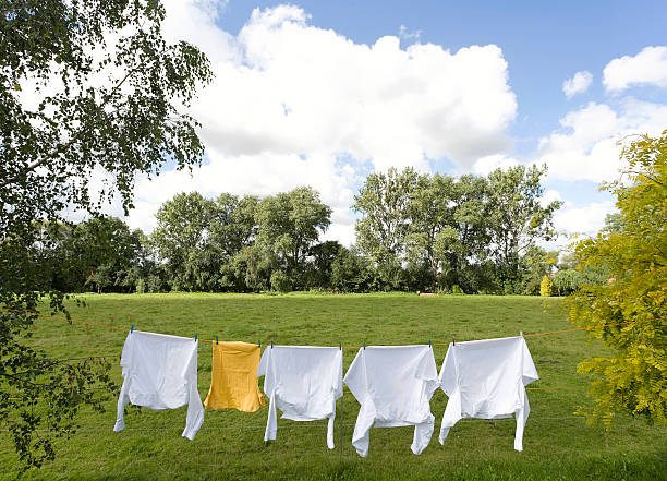 istock Clothesline with white and yellow shirts between trees (XL) 91426359