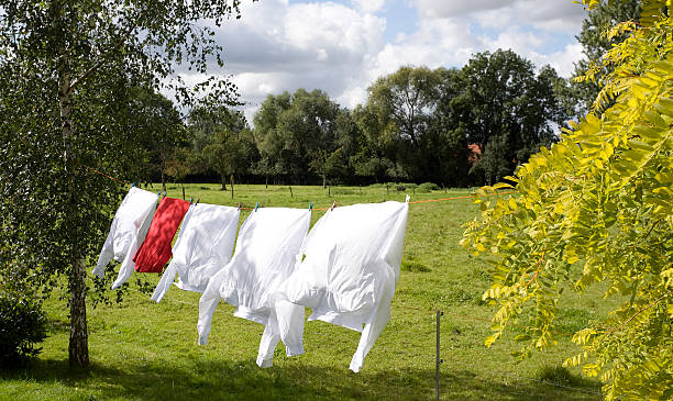 istock Clothesline with white and red shirts between trees (XL) 91426361