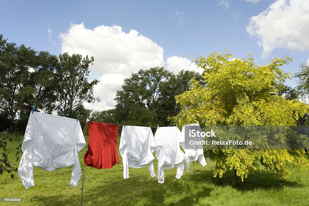 빨랫줄, 백색 및 적색으로 셔츠 사이에 나무 (XXL - 로열티 프리 돋보이는 스톡 사진