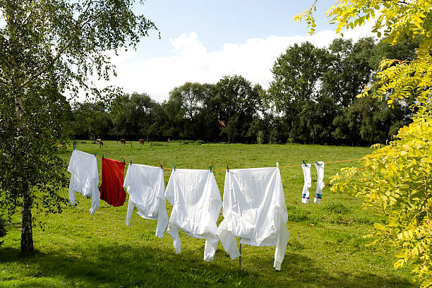 istock Clothesline with white and red shirts between trees (XXL) 91426364