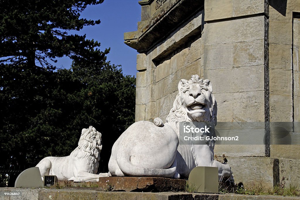 Le Percy Monument - Photo de Alnwick libre de droits