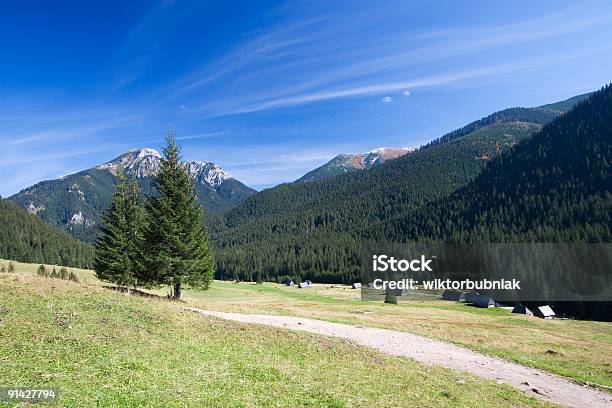 Paisagem De Montanha - Fotografias de stock e mais imagens de Agricultura - Agricultura, Animal Doméstico, Ao Ar Livre