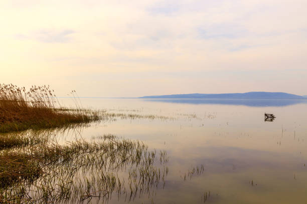 istock Lake Balaton in Hungary 914282020
