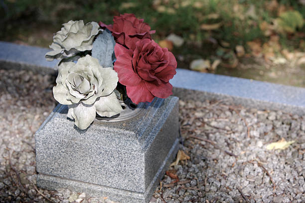 fleurs sur la tombe - new life death cemetery flower photos et images de collection