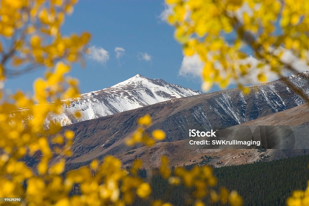 Herbst Farbe auf der Independance Pass, Colorado - Lizenzfrei Anhöhe Stock-Foto