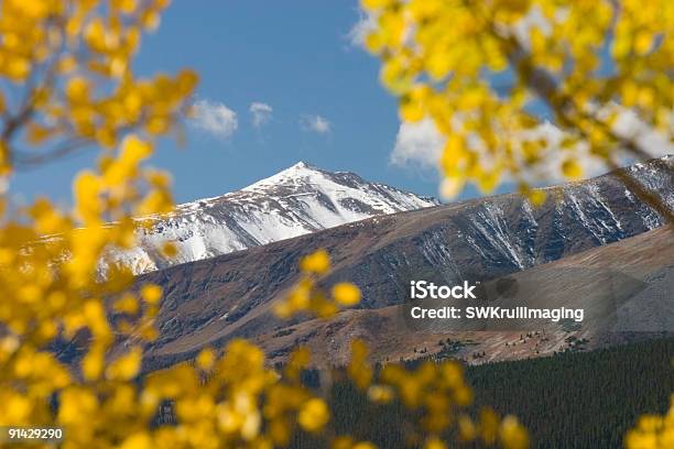 Autum Color De Independance Aprobado Colorado Foto de stock y más banco de imágenes de Bosque - Bosque, Cadena de montañas, Colina