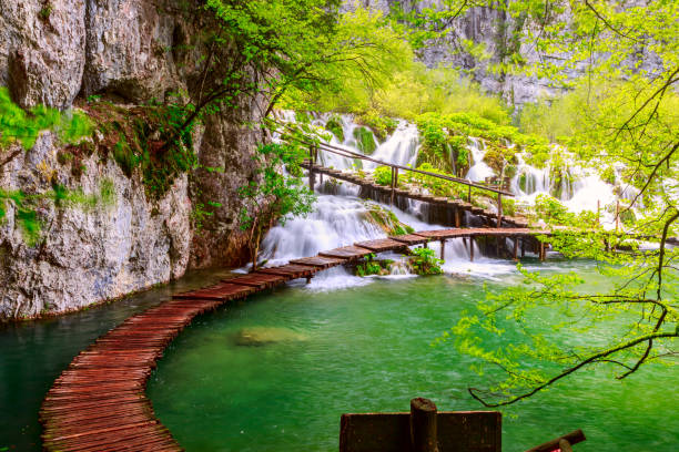 istock Wooden path in National Park in Plitvice 914300782