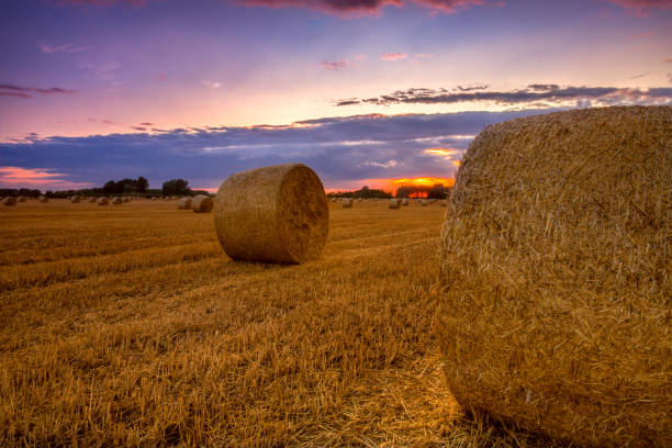 istock End of day over field with hay bale 914301316