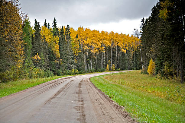 schottergestein road in nord-nationalforst - prince albert national park stock-fotos und bilder