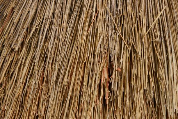 istock brown texture of dried small straw branches 914311060