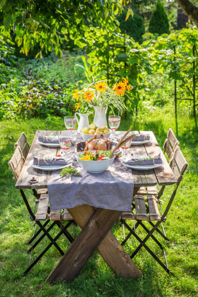 istock Homemade dinner with chicken and vegetables served in summer 914327418