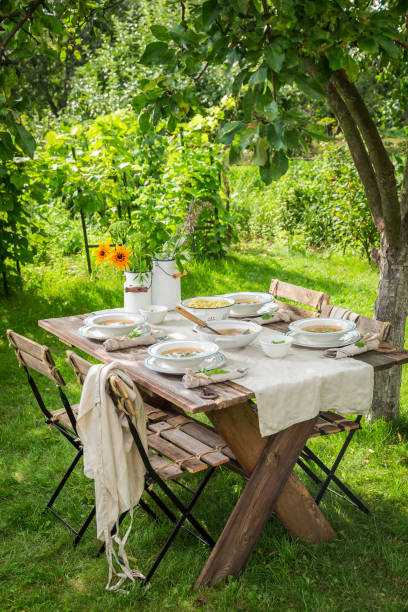 istock Fresh and tasty chicken soup with fresh vegetables 914328132