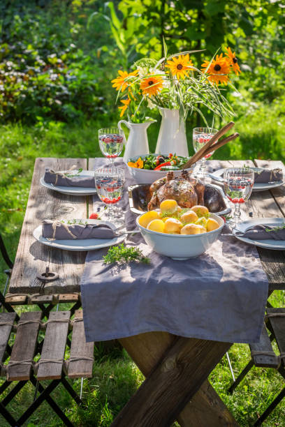 istock Fresh dinner with chicken and vegetables served in the garden 914330508