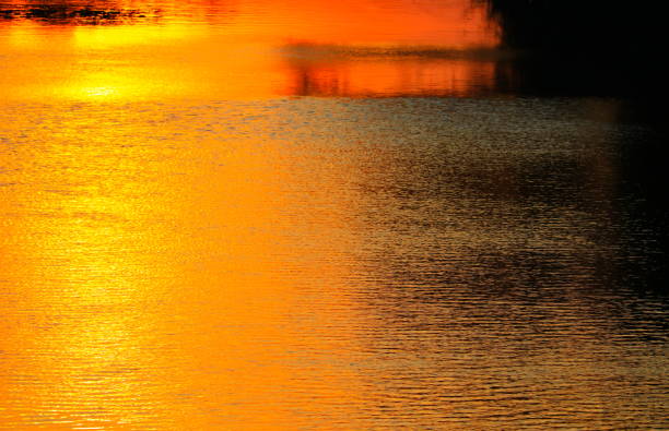 reflection river and shadow tree in water beautiful sunset nature