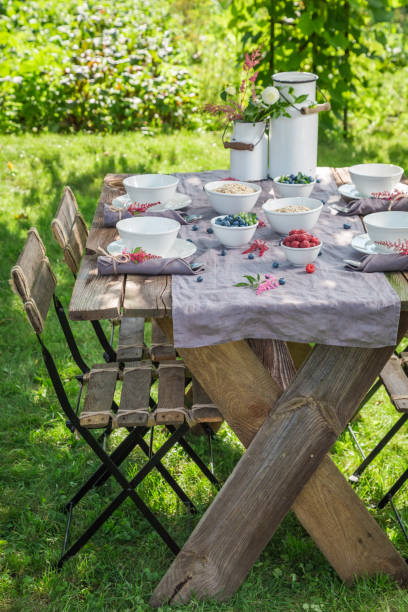 istock Fresh granola with raspberries and blueberries in garden 914331054