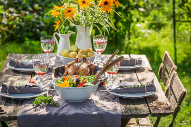 istock Fresh dinner with salad and chicken served in the garden 914331214