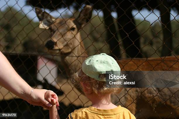 Bambino In Zoo - Fotografie stock e altre immagini di Animale - Animale, Animale in cattività, Bambino