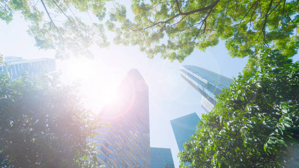 istock perspective exterior pattern blue glass wall modern buildings with green tree leaves 914342462