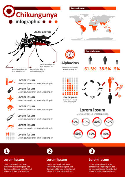 3 100 Chikungunya Stock Photos Pictures Royalty Free Images Istock 3 100 Chikungunya Stock Photos Pictures Royalty Free Images Istock