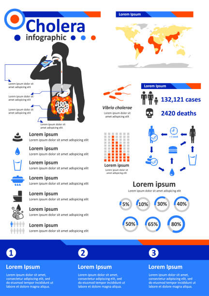 ilustraciones, imágenes clip art, dibujos animados e iconos de stock de infografía de enfermedades infecciosas - cólera - cholera bacterium