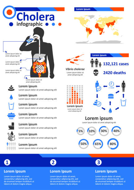 Infectious Disease Infographics - Cholera Simple flat style infographics components for health education poster about cholera, infectious disease caused by Vibrio cholerae bacteria. vibrio stock illustrations